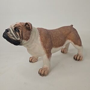 English Bulldog Male Dog Figurine 12"L x 5.5"W x 7.5"H Resin